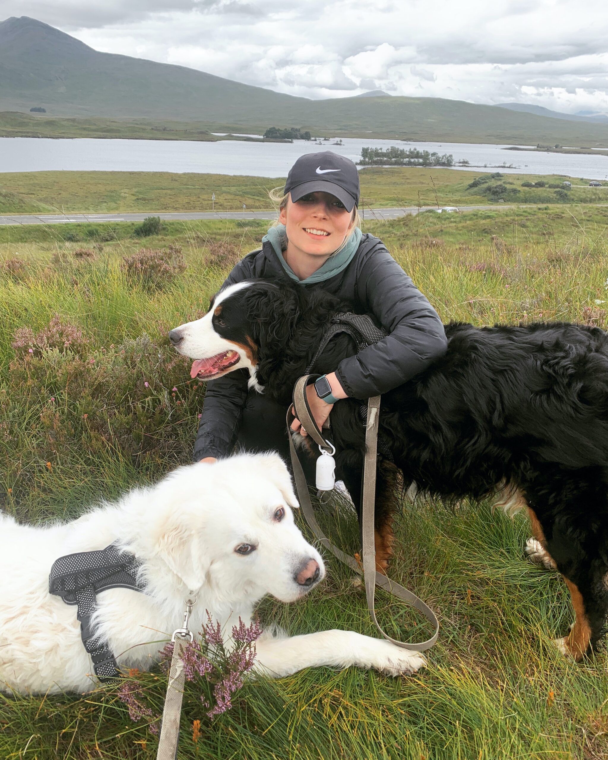 Alyssa and Dogs